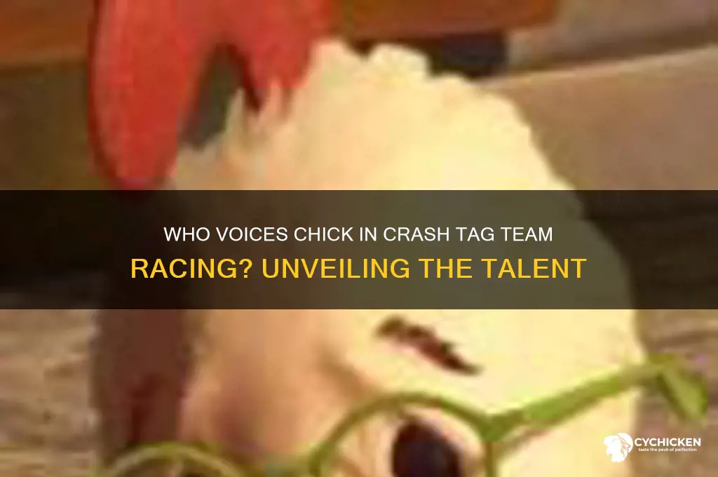 who voices chick in crash tag team racing