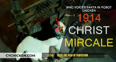 Santa's Voice Actor in Robot Chicken's Christmas Special