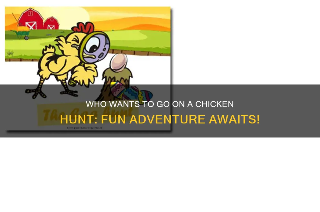 who wants to go on a chicken hunt
