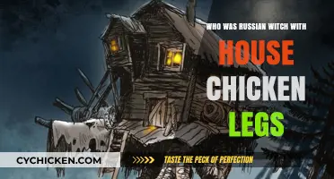 The Mystical Baba Yaga: Russia's Witch with the Chicken-Legged Hut