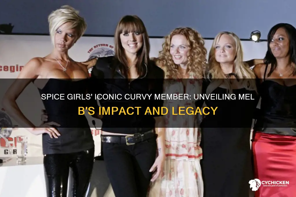 who was that thick chick in spice girls
