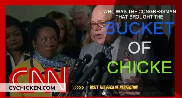 Congressman's Chicken Stunt: Who Brought the Bucket?