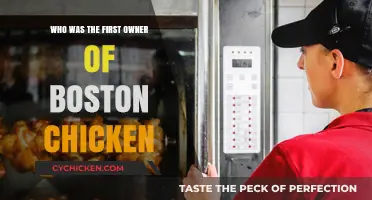 Unveiling Boston Chicken's Origins: The Pioneer Behind the Brand