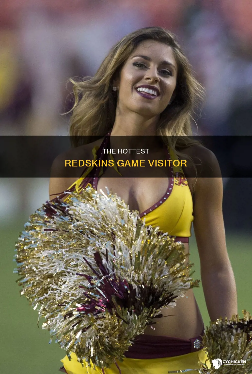 who was the hot chick at the redskins game