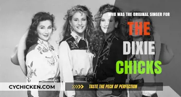 The Dixie Chicks' Original Singer: Laura Lynch's Legacy