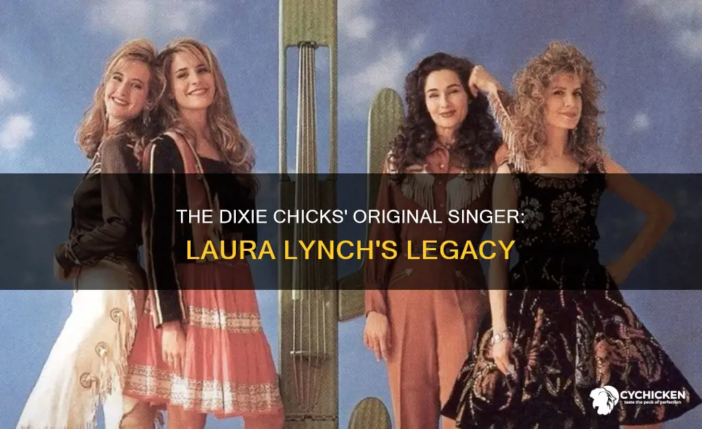 who was the original singer for the dixie chicks