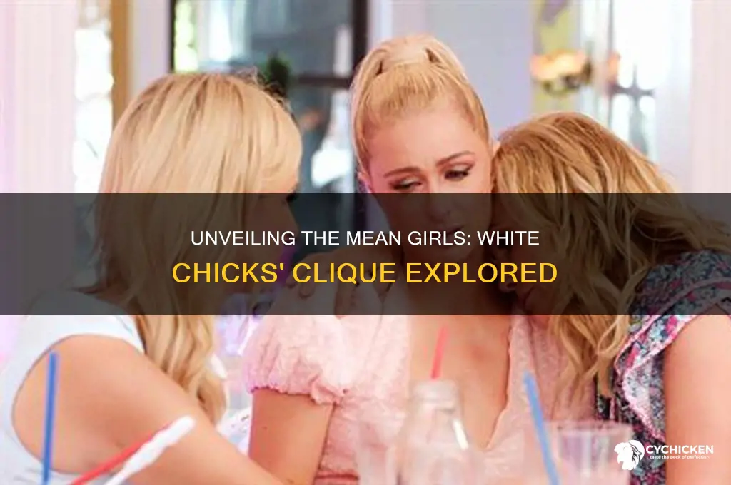 who were the mean girls in white chicks