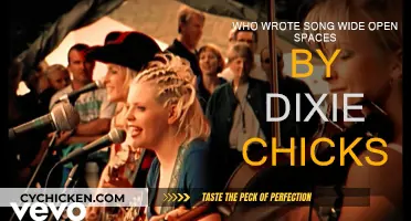 The Story Behind the Dixie Chicks' "Wide Open Spaces