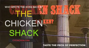 The Story Behind "Back at the Chicken Shack" Songwriting