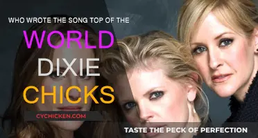 The Story Behind the Dixie Chicks' "Top of the World