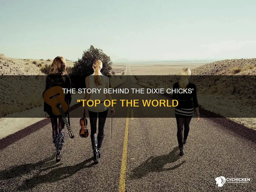 who wrote the song top of the world dixie chicks