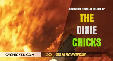 Travelin' Soldier's Origins: Uncovering the Writer Behind Dixie Chicks' Hit
