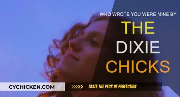 Who Really Wrote the Dixie Chicks' "You Were Mine"?