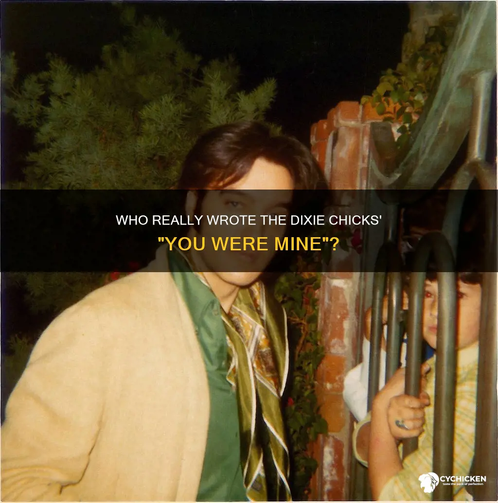 who wrote you were mine by the dixie chicks