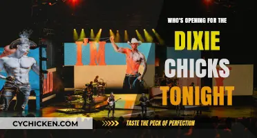 Tonight's Dixie Chicks Opener: Who's Kicking Off the Show?