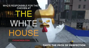 The Mystery of the Fake Chicken: Who Fooled the White House?