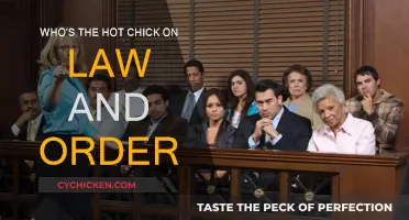 Law and Order: Who's the Hot Chick?