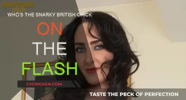 The Flash's Snarky British Sidekick: Who's This Chick?