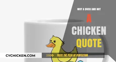 Why a Duck and Not a Chicken? Unraveling the Quote's Mystery