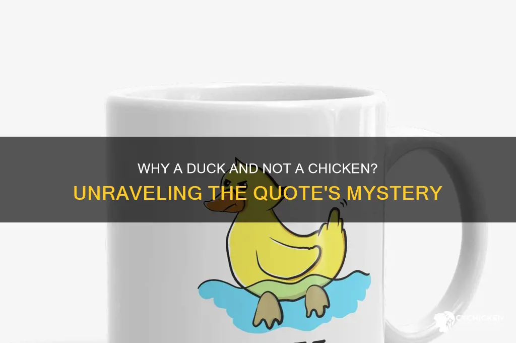 why a duck and not a chicken quote