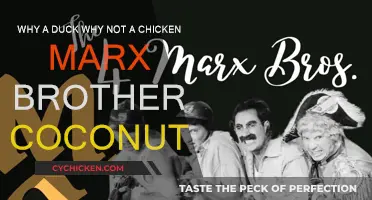 The Duck, the Coconut, and the Marx Brothers' Chaos