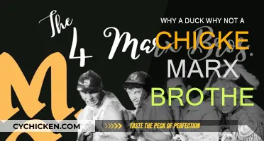 The Duck, the Chicken, and the Marx Brothers' Chaos
