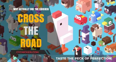 Why Did the Chicken Cross the Road? Unraveling the Mystery
