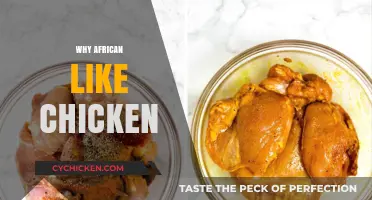 Exploring Africa's Love for Chicken: Cultural Roots and Culinary Delights