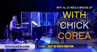 Al Di Meola and Chick Corea: What Caused the Split?