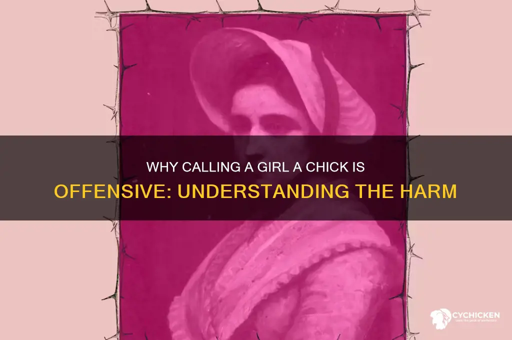 why alling a girl a chick is offensie