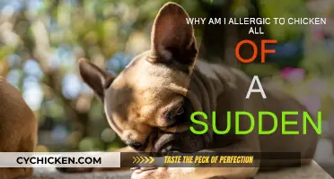Sudden Chicken Allergies: What's the Deal?