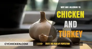 Unraveling Poultry Allergies: Why Chicken and Turkey Trigger Reactions