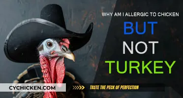 Exploring the Mystery of Chicken Allergies