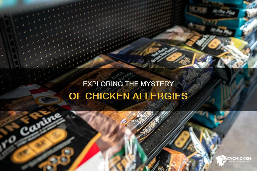 why am i allergic to chicken but not turkey