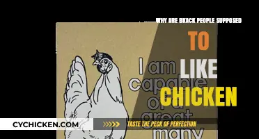 Debunking the Stereotype: Why Are Black People Supposed to Like Chicken?