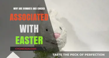 Bunnies, Chicks, and Easter: Unraveling the Springtime Symbolism