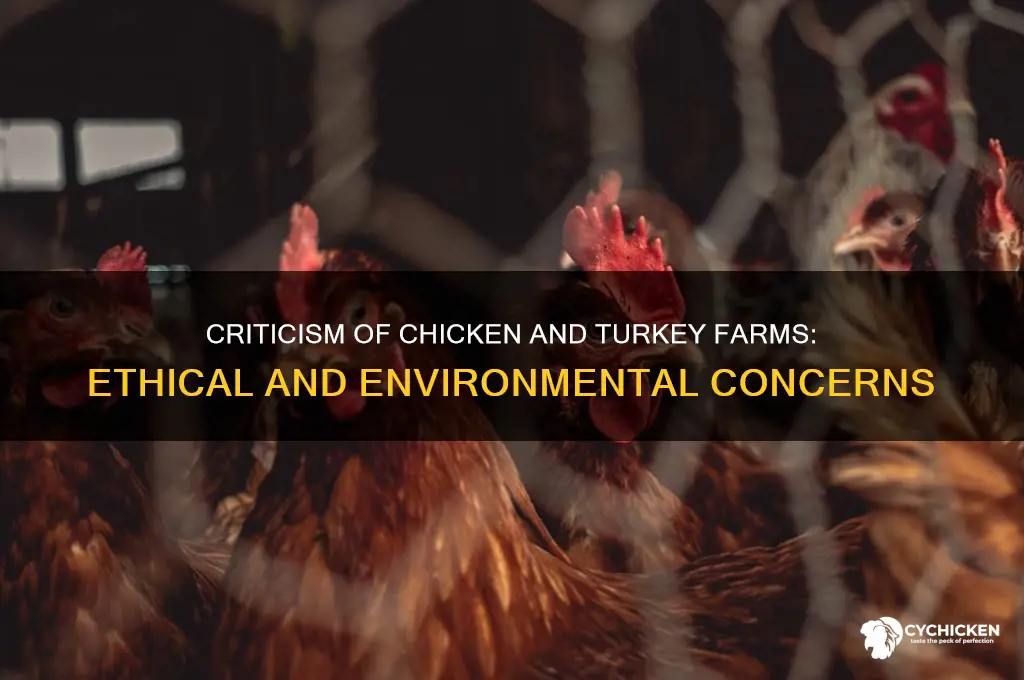 why are chicken and turkey farms often criticized