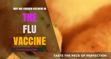 Chicken Feathers in Flu Vaccines: Unraveling the Surprising Connection