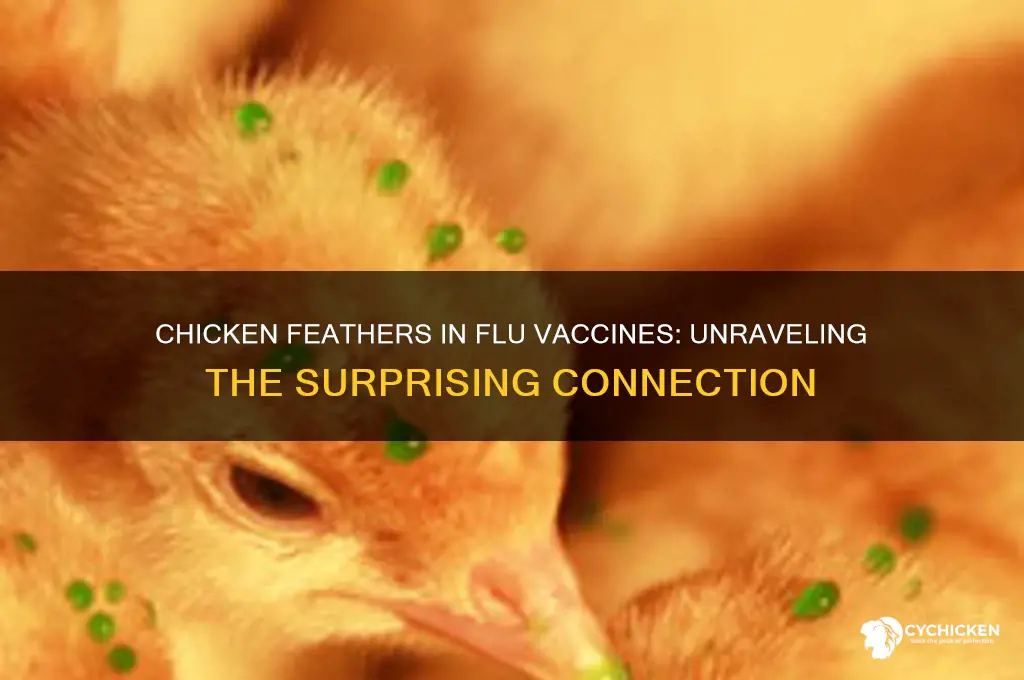 why are chicken feathers in the flu vaccine