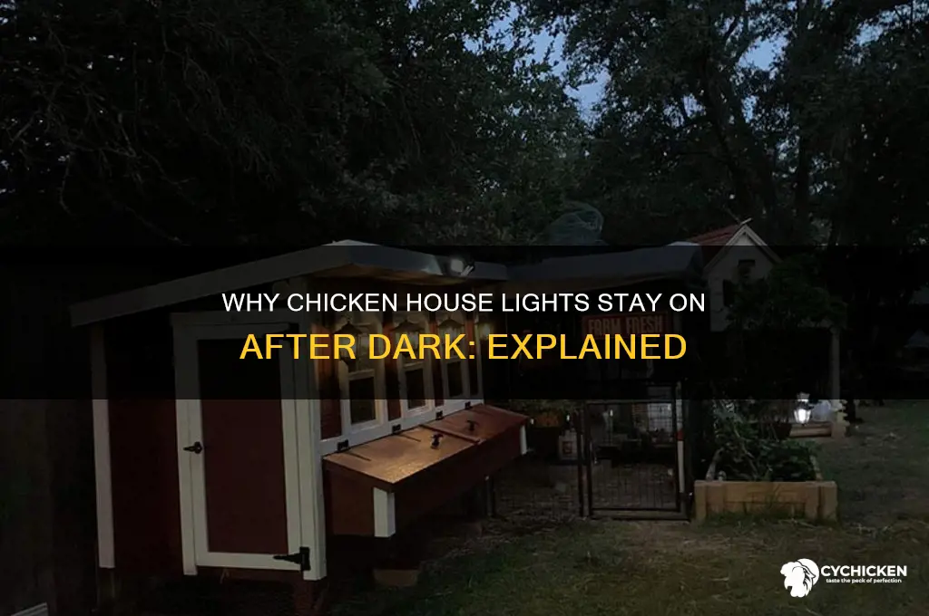 why are chicken house lights on at night