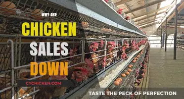 Decline in Chicken Sales: Analyzing the Poultry Market Slump