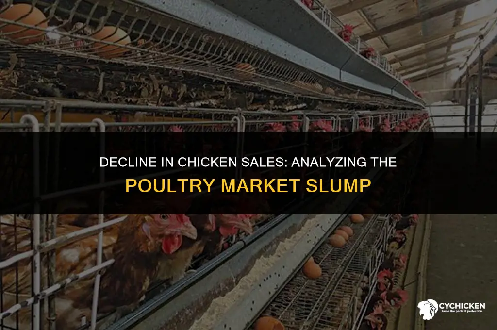 why are chicken sales down