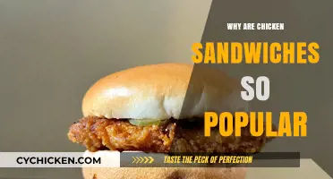 The Irresistible Appeal of Chicken Sandwiches: A Culinary Craze Explained