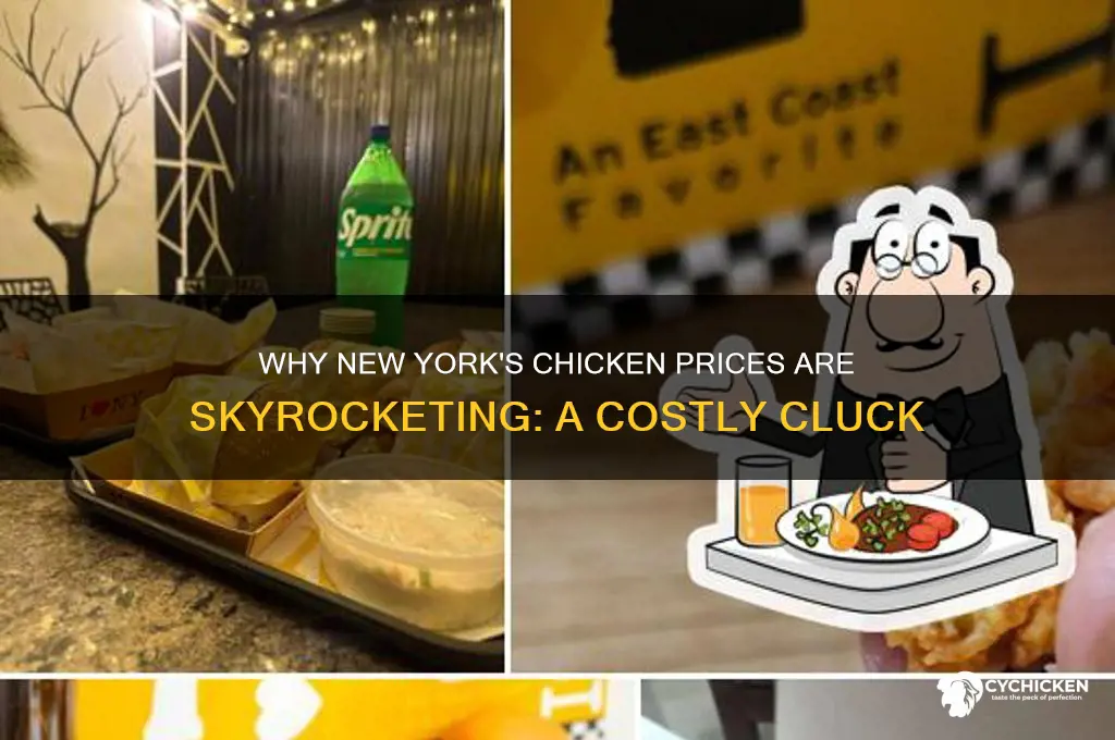 why are chicken so expensive in new york