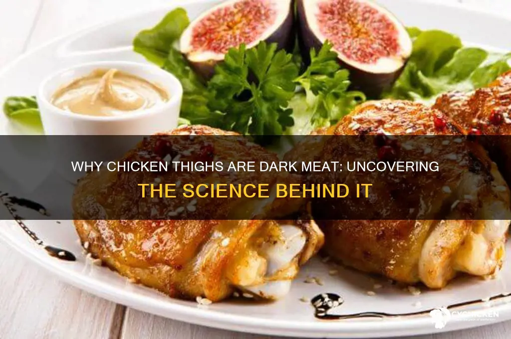 Why Chicken Thighs Are Dark Meat: Uncovering The Science Behind It