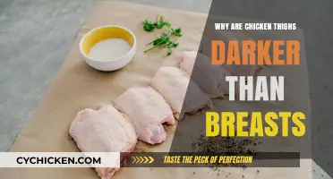 Why Chicken Thighs Are Darker Than Breasts: Uncovering the Science