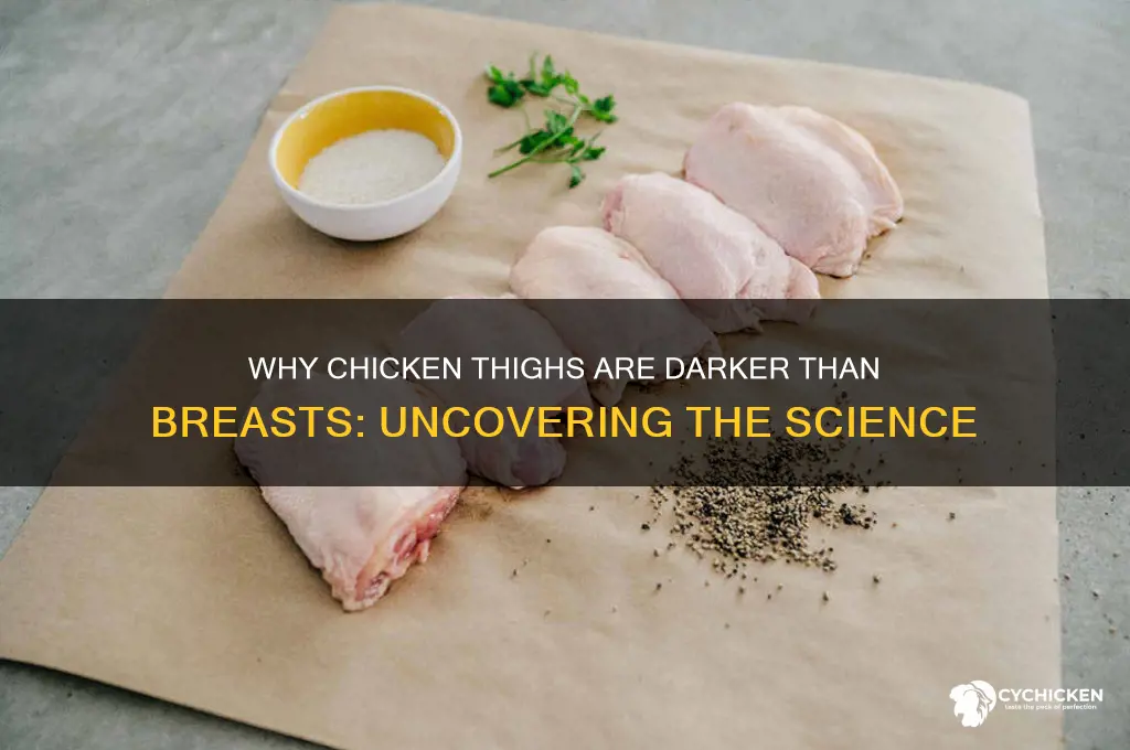 why are chicken thighs darker than breasts