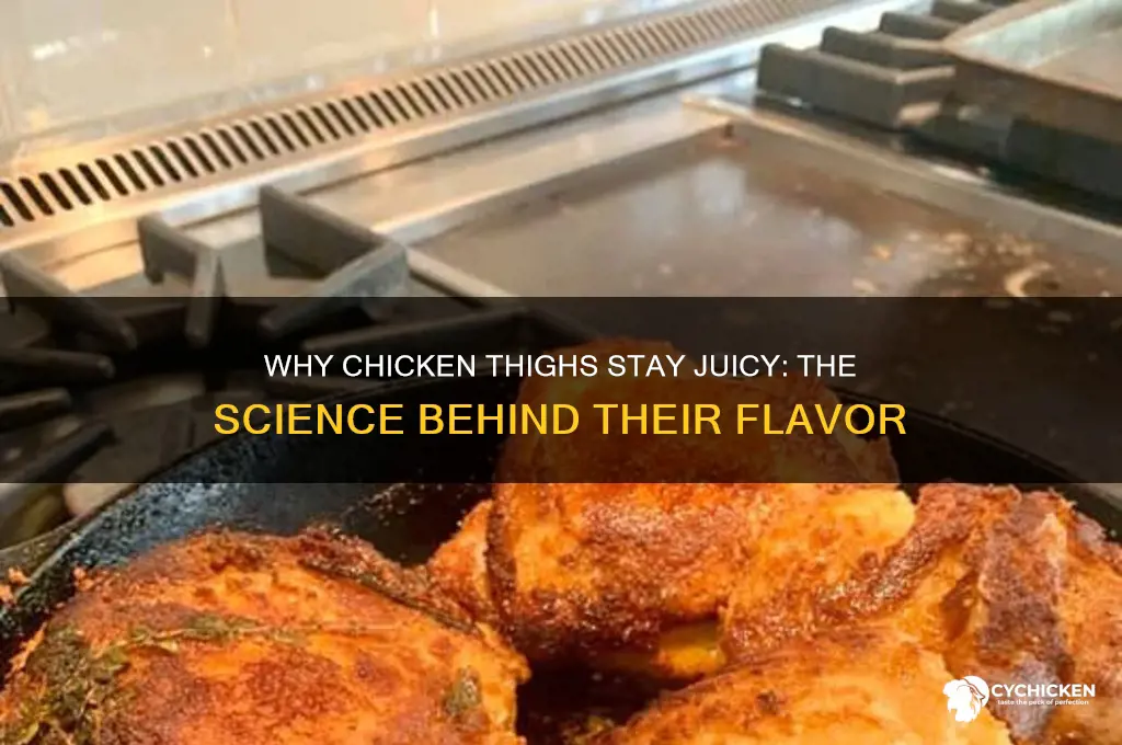 why are chicken thighs juicy