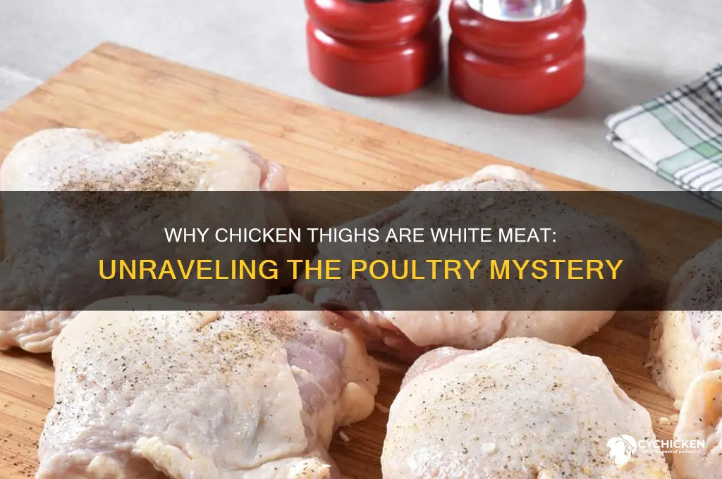 why are chicken thighs white meat