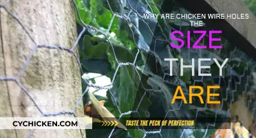 Chicken Wire Holes: Perfect Size for Protection
